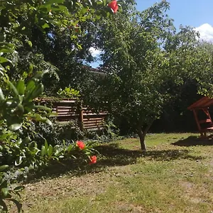  Pensjonat Rakos-patak Family House